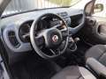 Fiat Panda 1.2 Lounge *UNIPROPRIETARIO* Gris - thumbnail 6