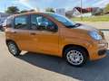 Fiat Panda +Garantie Klima TÜV+Service NEU Bronze - thumbnail 8