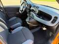 Fiat Panda +Garantie Klima TÜV+Service NEU Bronze - thumbnail 20