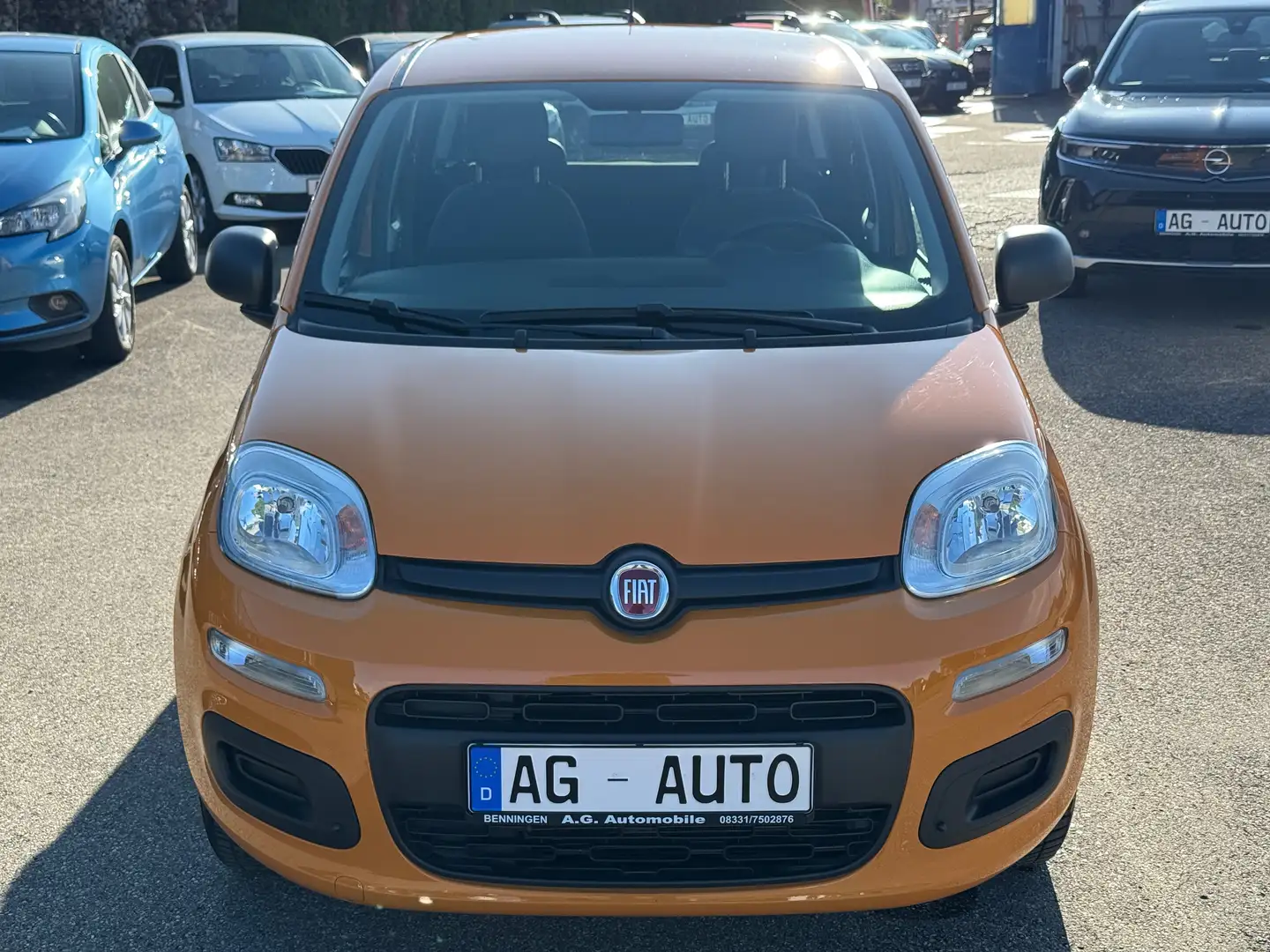 Fiat Panda +Garantie Klima TÜV+Service NEU Bronze - 2