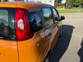 Fiat Panda +Garantie Klima TÜV+Service NEU Bronze - thumbnail 22