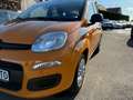 Fiat Panda +Garantie Klima TÜV+Service NEU Bronze - thumbnail 10