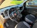 Fiat Panda +Garantie Klima TÜV+Service NEU Bronze - thumbnail 12