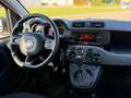 Fiat Panda +Garantie Klima TÜV+Service NEU Bronze - thumbnail 18