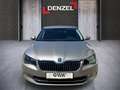 Skoda Superb 2,0 TDI 4x4 S Silber - thumbnail 13