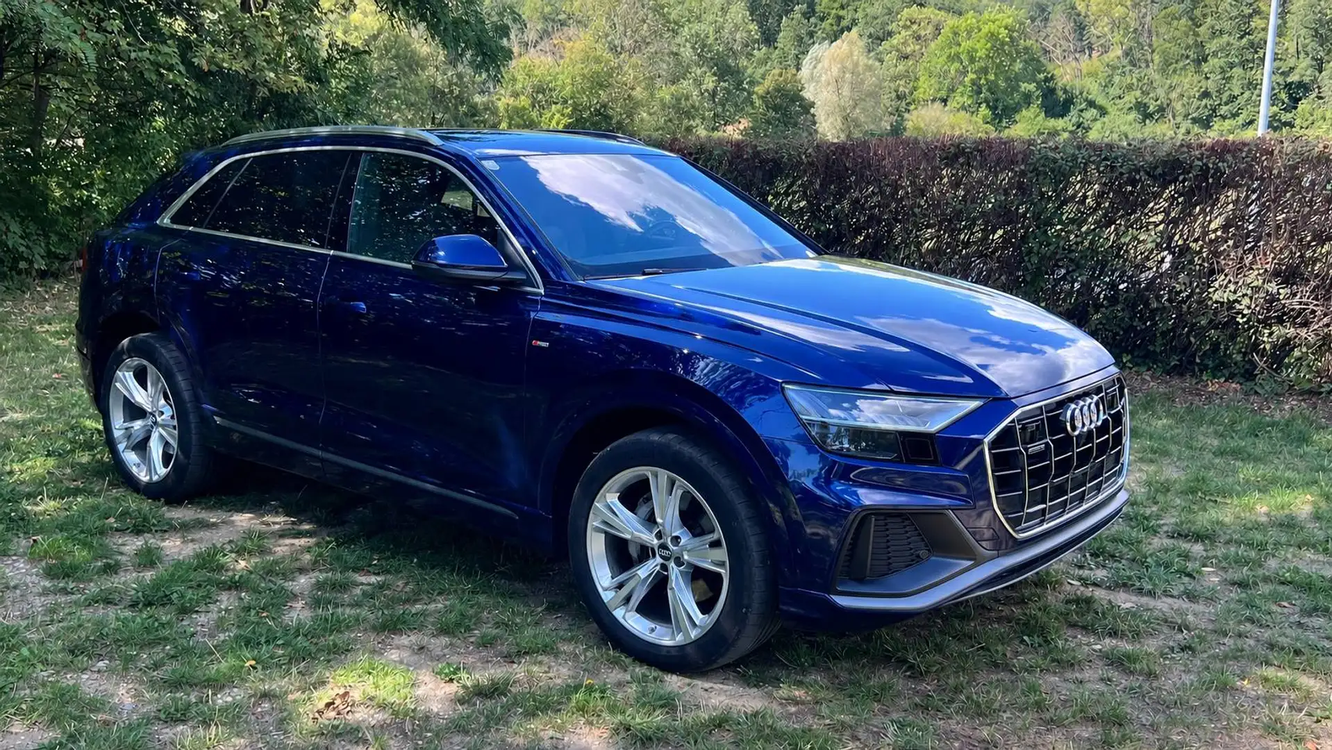 Audi Q8 Q8 50 MHEV TDI quattro Tiptronic Blau - 1