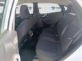 Ford Puma 1.0 EcoBoost MHEV Titanium 125 Blanco - thumbnail 16