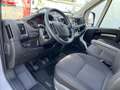 Opel Movano Kastenwagen L2H2 Van 2.2D 140PS Standhei... Blanc - thumbnail 15