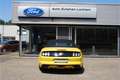 Ford Mustang Convertible 5.0 GT NAVI | XENON | YELLOW | V8 | SY Geel - thumbnail 7