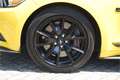 Ford Mustang Convertible 5.0 GT NAVI | XENON | YELLOW | V8 | SY Geel - thumbnail 11
