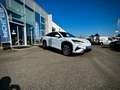 BYD Sealion 7 Excellence AWD 91.5 kWh 530PS LEASING AKTION Weiß - thumbnail 6