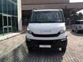 Iveco Daily 35c15 CASSONE FISSO 430cm Weiß - thumbnail 2