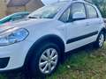 Suzuki SX4 1.6 VVT 4x4 Blanco - thumbnail 7