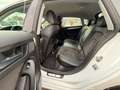 Audi A5 Sportb S Line 2.0 TDI-NAVI-XEN-LEDER-AUDI KD Weiß - thumbnail 7