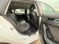 Audi A5 Sportb S Line 2.0 TDI-NAVI-XEN-LEDER-AUDI KD Weiß - thumbnail 11