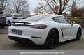 Porsche Cayman 718 Cayman PDK Leder SportAGA PCM Weiß - thumbnail 8