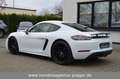 Porsche Cayman 718 Cayman PDK Leder SportAGA PCM Weiß - thumbnail 6