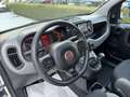 Fiat Panda 1.0 Hybrid 70cv City Life 5 posti *Prezzo Promo* Wit - thumbnail 16