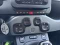 Fiat Panda 1.0 Hybrid 70cv City Life 5 posti *Prezzo Promo* Wit - thumbnail 14
