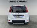 Fiat Panda 1.0 Hybrid 70cv City Life 5 posti *Prezzo Promo* Wit - thumbnail 5