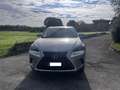 Lexus NX 300h 300h 2.5 Business 2wd cvt Grigio - thumbnail 7