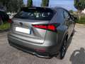 Lexus NX 300h 300h 2.5 Business 2wd cvt Grigio - thumbnail 5