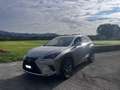 Lexus NX 300h 300h 2.5 Business 2wd cvt Grigio - thumbnail 1