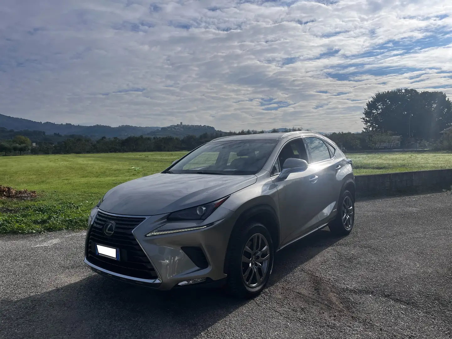 Lexus NX 300h 300h 2.5 Business 2wd cvt Grigio - 1