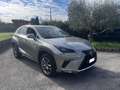 Lexus NX 300h 300h 2.5 Business 2wd cvt Grigio - thumbnail 6