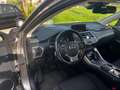 Lexus NX 300h 300h 2.5 Business 2wd cvt Grigio - thumbnail 8