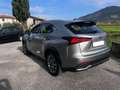 Lexus NX 300h 300h 2.5 Business 2wd cvt Grigio - thumbnail 2