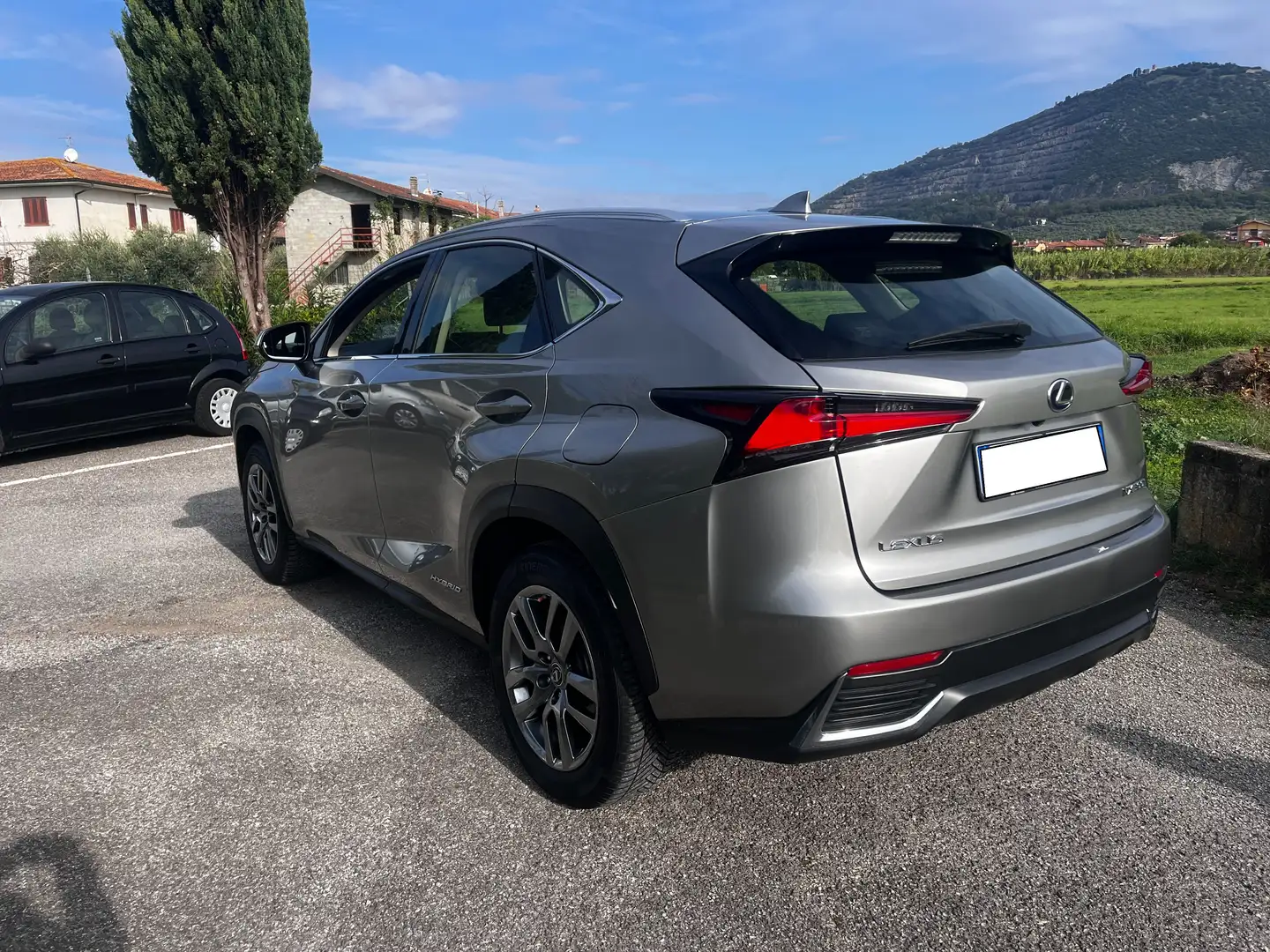 Lexus NX 300h 300h 2.5 Business 2wd cvt Grigio - 2