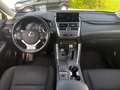 Lexus NX 300h 300h 2.5 Business 2wd cvt Grigio - thumbnail 9
