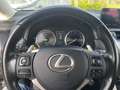 Lexus NX 300h 300h 2.5 Business 2wd cvt Grigio - thumbnail 14