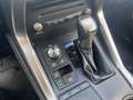 Lexus NX 300h 300h 2.5 Business 2wd cvt Grigio - thumbnail 15