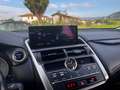 Lexus NX 300h 300h 2.5 Business 2wd cvt Grigio - thumbnail 13