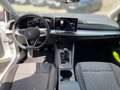 Volkswagen Golf VIII 1.5 TSI Life *LED*KAMERA*SITZH* Blanco - thumbnail 13