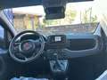 Fiat Panda Pandina 1.0 firefly hybrid Icon s Bianco - thumbnail 7