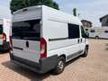 Fiat Ducato Fiat Ducato | Camper 3 Posti | Pronto a Viaggiare Gris - thumbnail 4