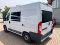 Fiat Ducato Fiat Ducato | Camper 3 Posti | Pronto a Viaggiare Gris - thumbnail 8