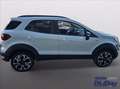 Ford EcoSport 1.0 EcoBoost 125 CV Start&Stop Active Bianco - thumbnail 4