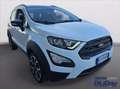 Ford EcoSport 1.0 EcoBoost 125 CV Start&Stop Active Bianco - thumbnail 3