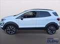 Ford EcoSport 1.0 EcoBoost 125 CV Start&Stop Active Bianco - thumbnail 11