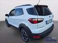 Ford EcoSport 1.0 EcoBoost 125 CV Start&Stop Active Bianco - thumbnail 12