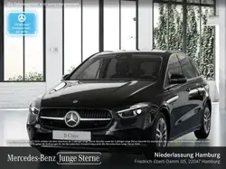 Mercedes-Benz B 220 4M PROGRESSIVE+360°+MULTIBEAM+STHZG+TOTW+8G
