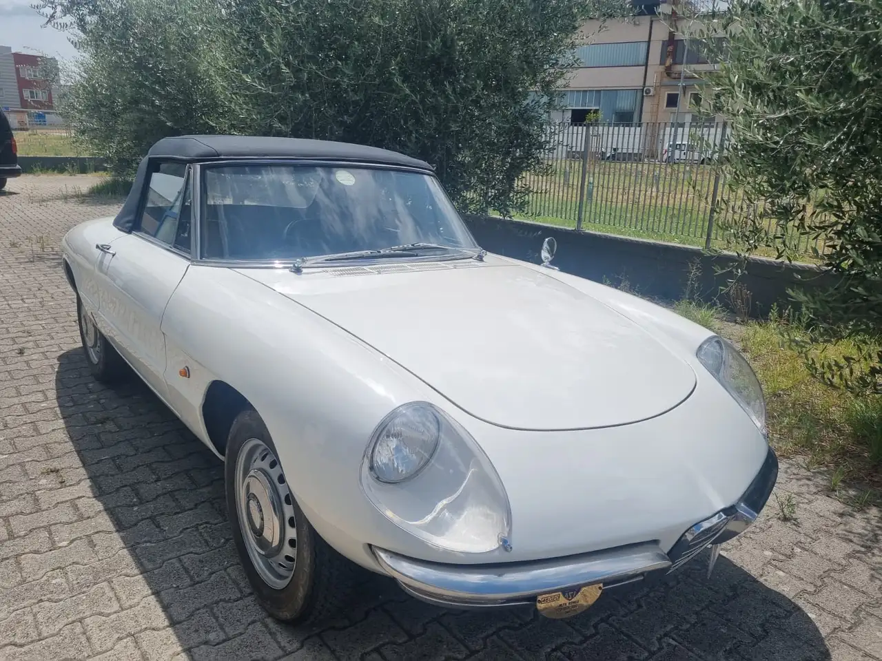 Alfa Romeo Spider 1006 spider 105 03, foto 4