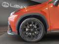 Lexus NX 350h NX 350h 2.5 F-Sport 4wd 244cv e-cvt Bronzo - thumbnail 5