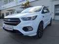 Ford Kuga 2,0 TDCi ST-Line Start/Stop Weiß - thumbnail 3