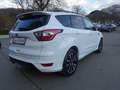 Ford Kuga 2,0 TDCi ST-Line Start/Stop Weiß - thumbnail 6