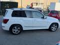Mercedes-Benz GLK 200 Premium GLK 200 CDI BlueEFFICIENCY Weiß - thumbnail 6